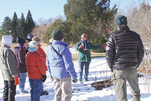 SS_Polly-Hill-Walk-2-UP