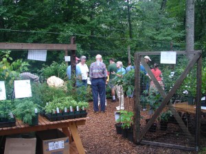 plant-sale-300x225