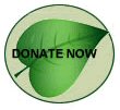 pollyhill-donate