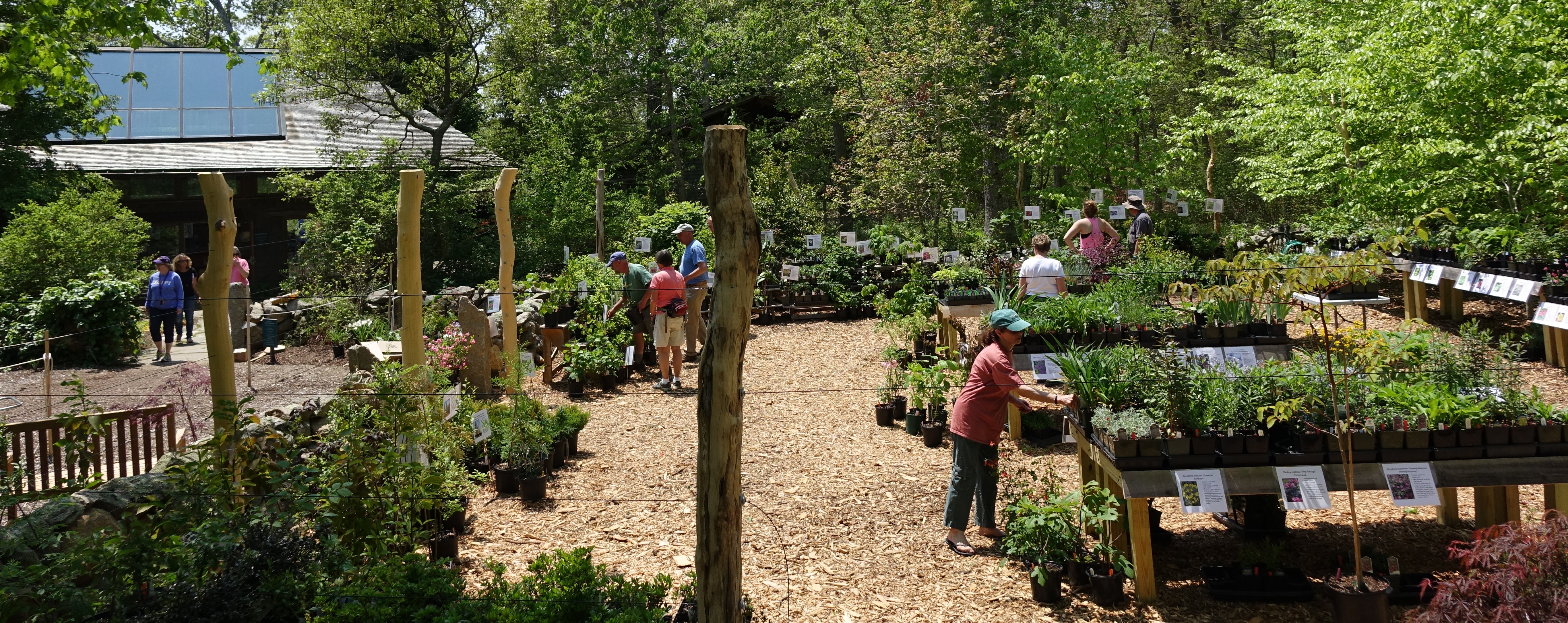 The Polly Hill Arboretum » PLANT SALE