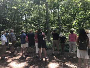 Botanical Spotlight Tour: Native Tree Trail
