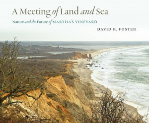 David Foster Land and Sea Cover