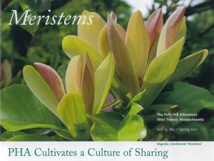 meristems cover