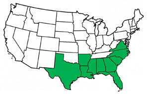 Malacodendron GlobalDistribution