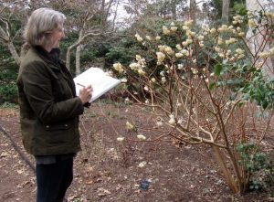 Botanical Sketching & Nature Journaling