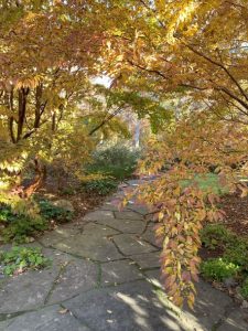 Staff-Led Seasonal Tours @ The Polly Hill Arboretum