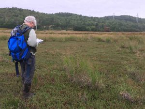 A Tale of Ecosystem Resilience: Cranberry Bog Restoration