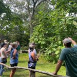 Botanical Spotlight Tours @ The Polly Hill Arboretum