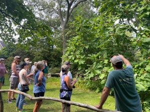 Botanical Spotlight Tours @ The Polly Hill Arboretum Visitor Center