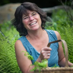 Family Friendly Mushroom Adventure @ The Polly Hill Arboretum Far Barn