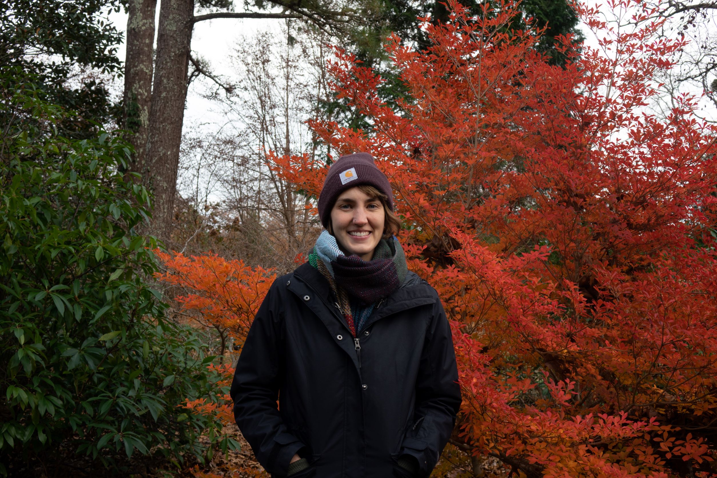 Native Herbaceous Perennials and Shrubs for the Home Garden with Emily Ellingson @ The Old Mill Building