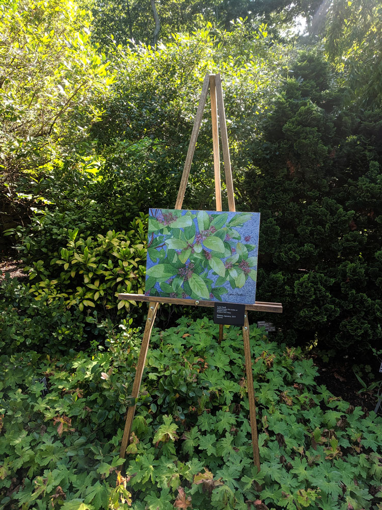 Art in the Arboretum @ The Polly Hill Arboretum