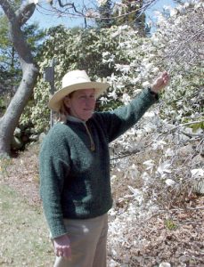 Docent led tours of the grounds and plant collections. @ Polly Hill Arboretum