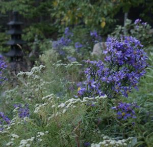 Keeping Your Eyes to the Ground: Essential Strategies for Dynamic Herbaceous Landscape Design & Establishment with Patrick Cullina @ The Polly Hill Arboretum