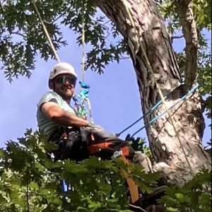 Ask an Arborist Tour and Open House @ The Polly Hill Arboretum
